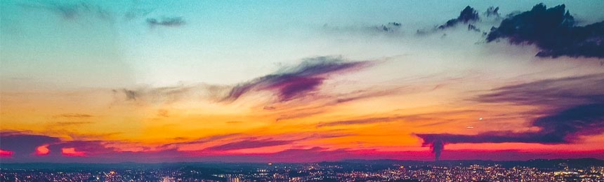 上杭茶虫网_上杭品茶